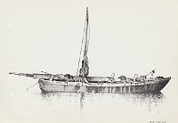 596 Topo istriano 